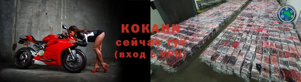 бошки Вяземский