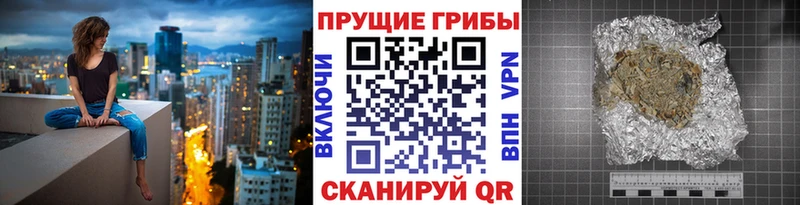 Купить  Сосновоборск  Галлюциногенные грибы Cubensis 